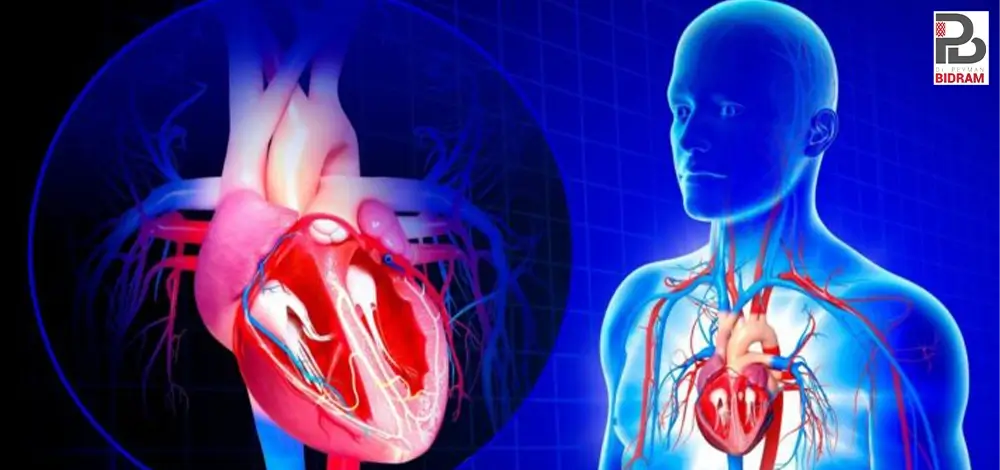 علت پرولاپس دریچه میترال