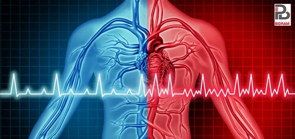 تشخیص آریتمی قلبی با نوار قلب ECG