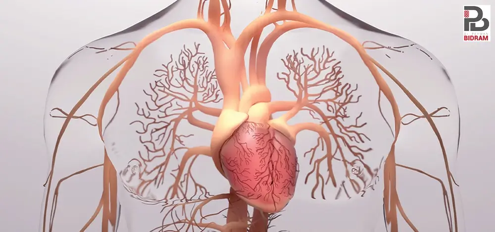 تأثیر استرس و اضطراب بر سلامت قلب