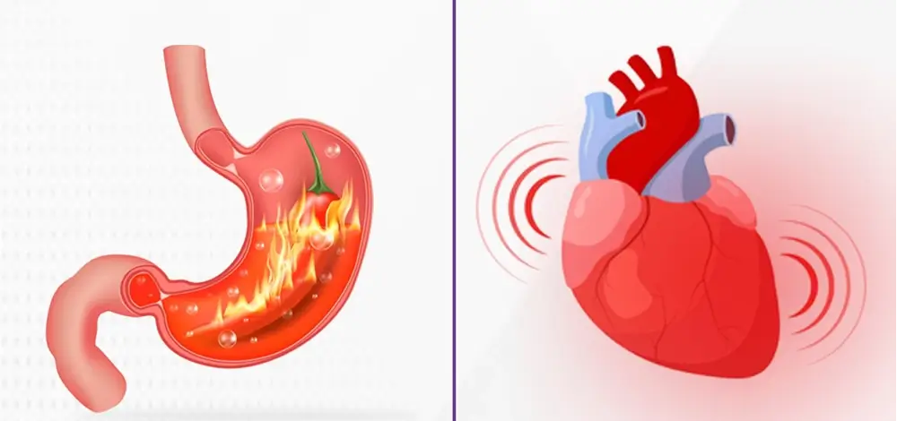 تفاوت درد قلبی با درد معده یا استرس
