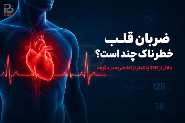 ضربان قلب خطرناک چند است؟