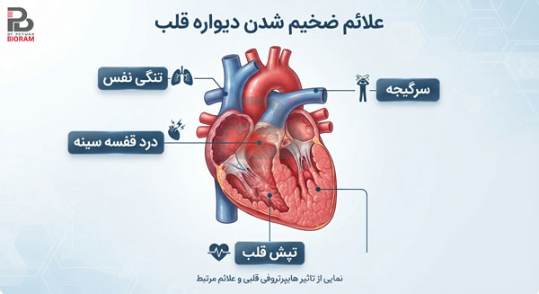 علائم ضخیم شدن دیواره قلب که نباید نادیده بگیرید